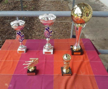 Turnaj o pohár starostu obce Trhovište