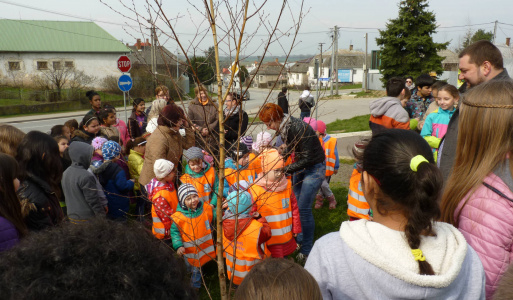 Zdobenie briezky 2016