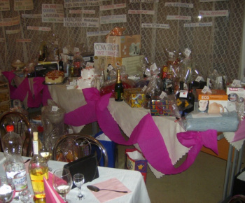 XVI. rodičovský ples v ZŠ s MŠ Trhovište