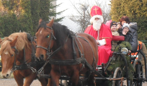 Zemplínska koštovka pálenej 2018