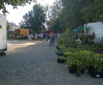 Chovateľská burza Trhovište 2016
