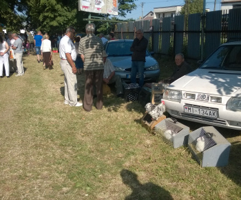 Chovateľská burza Trhovište 2016
